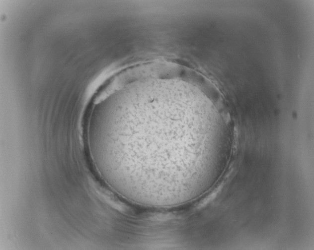 X0000070390246200606301953