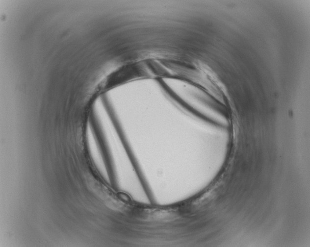 X0000070390249200606301953