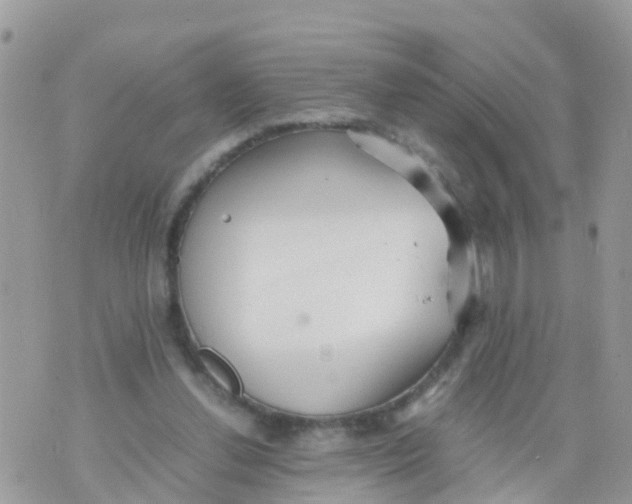 X0000070390252200606301953