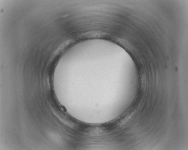 X0000070390254200606301953