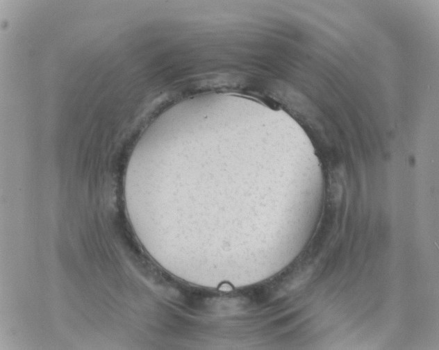 X0000070390255200606301953