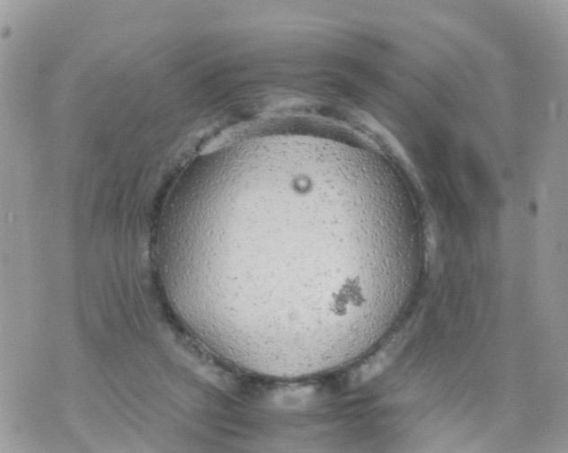 X0000070390257200606301953