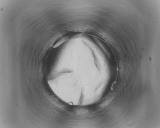 X0000070390258200606301953