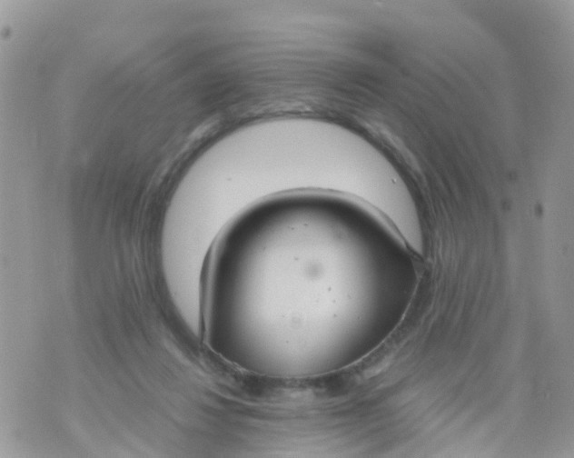 X0000070390260200606301953