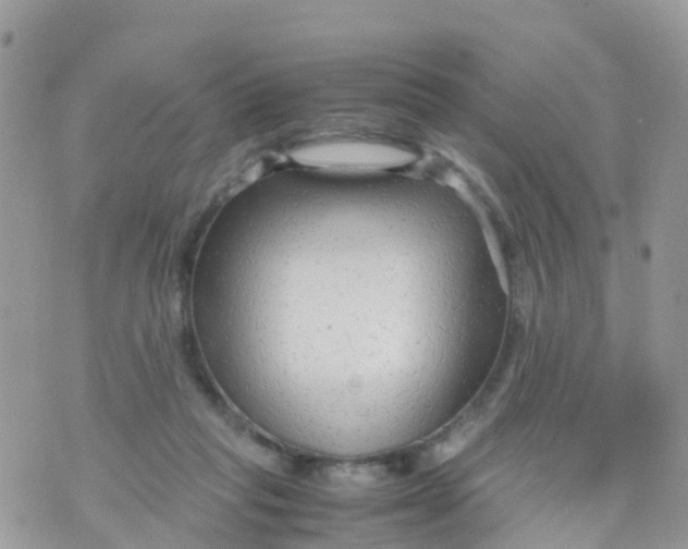 X0000070390261200606301953