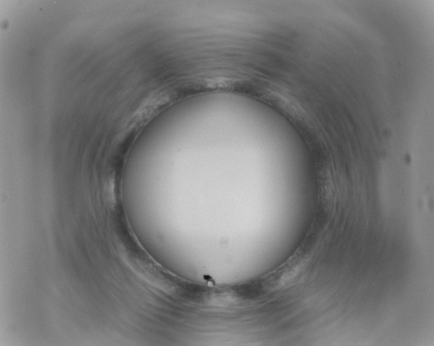 X0000070390262200606301953