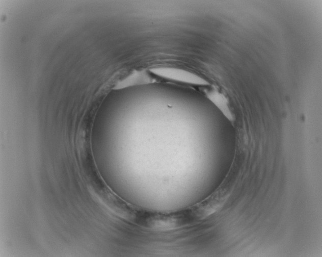 X0000070390263200606301953