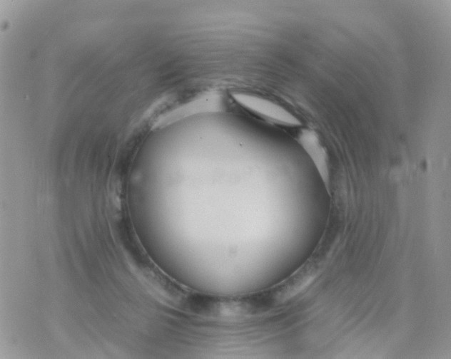 X0000070390264200606301953