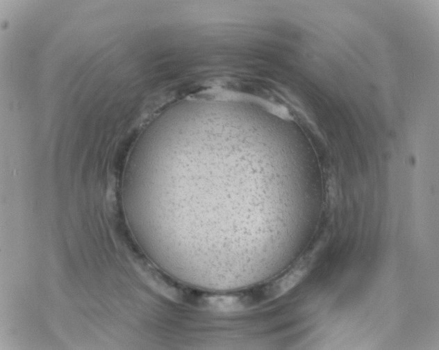 X0000070390265200606301953