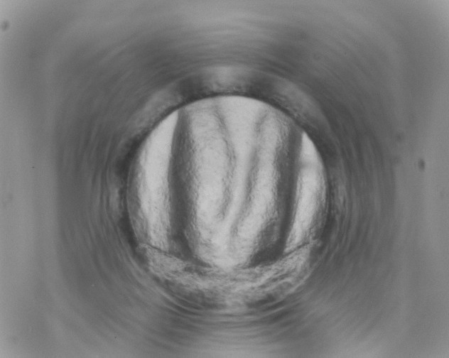 X0000070390266200606301953