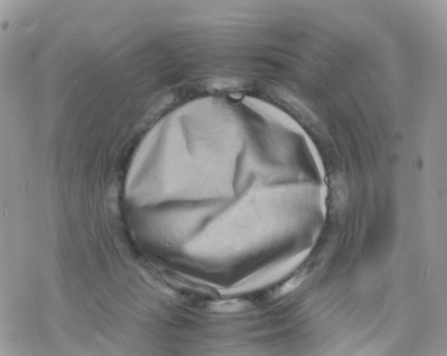 X0000070390269200606301954