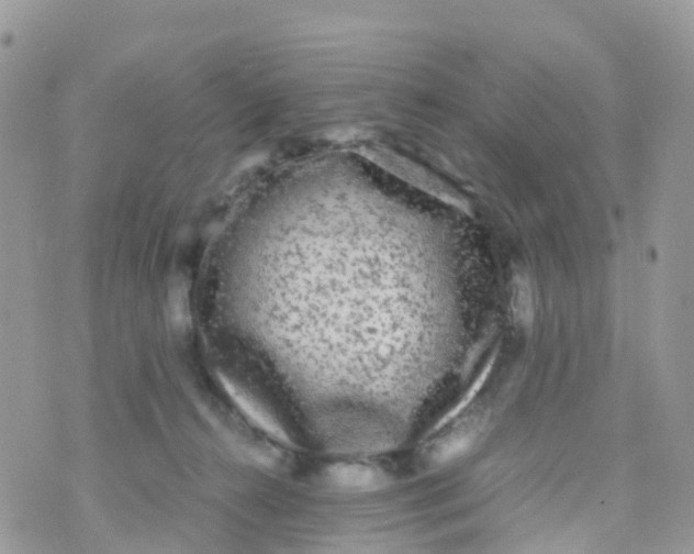 X0000070390272200606301954