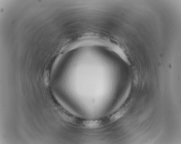 X0000070390273200606301954