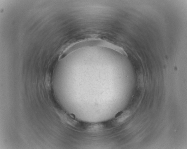 X0000070390274200606301954