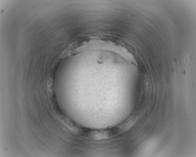 X0000070390275200606301954