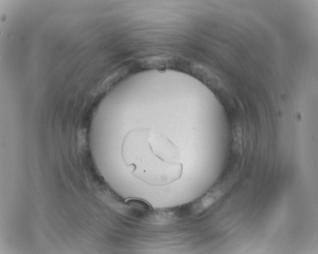 X0000070390278200606301954