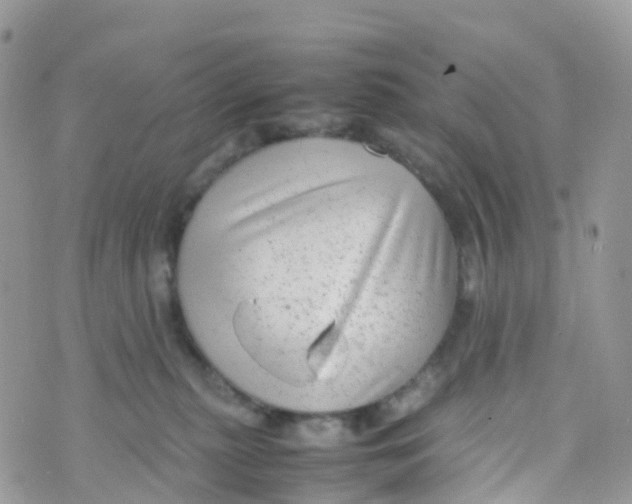 X0000070390279200606301954