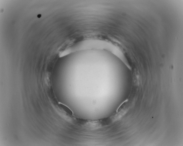 X0000070390280200606301954