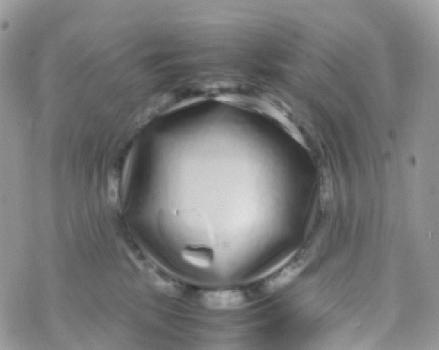 X0000070390281200606301954