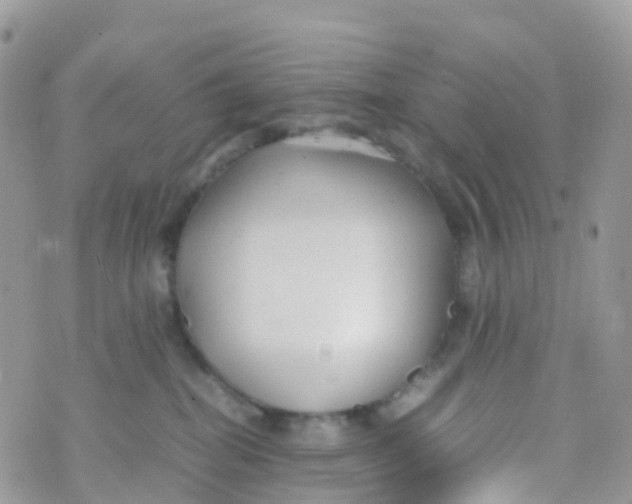 X0000070390282200606301954