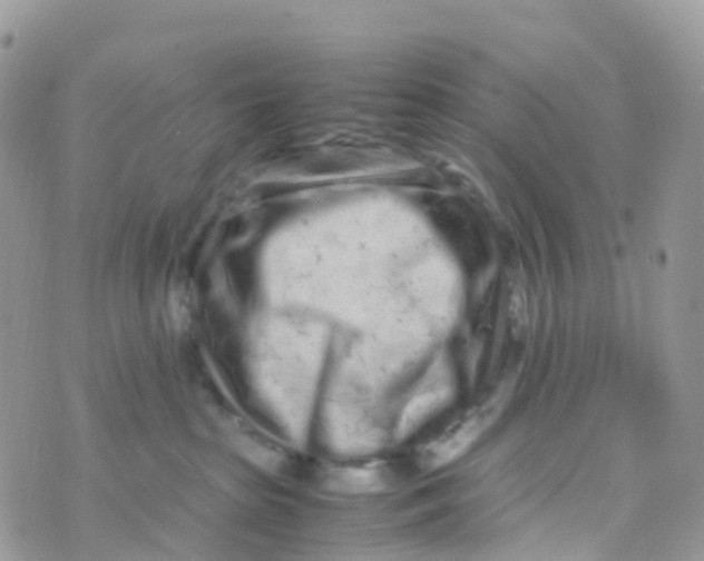 X0000070390285200606301954