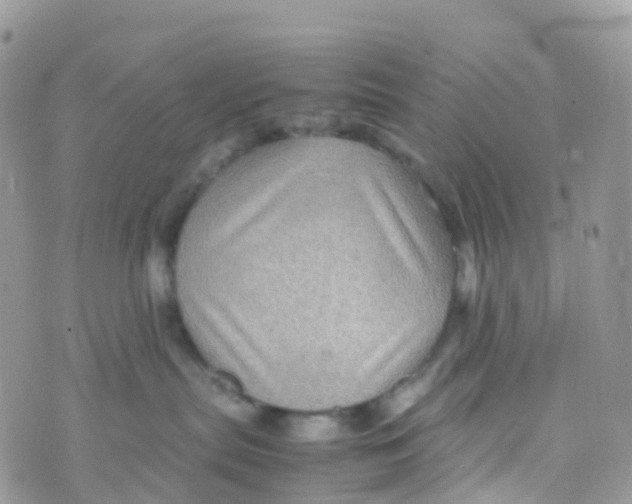 X0000070390287200606301954