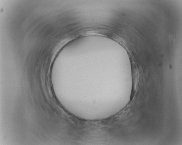 X0000070390289200606301953