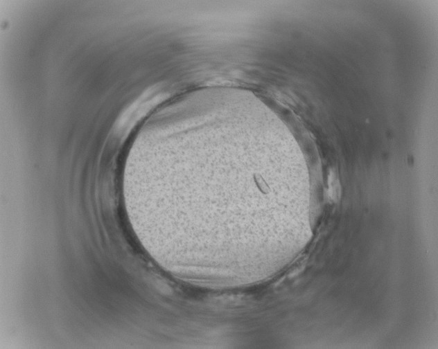 X0000070390291200606301953