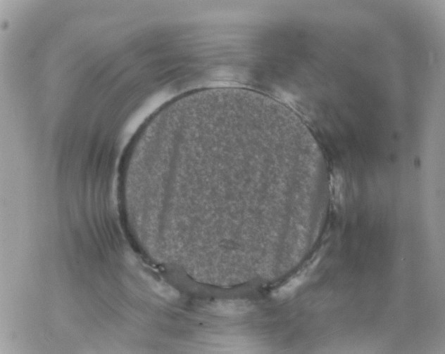 X0000070390292200606301953