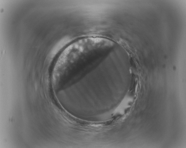 X0000070390295200606301953