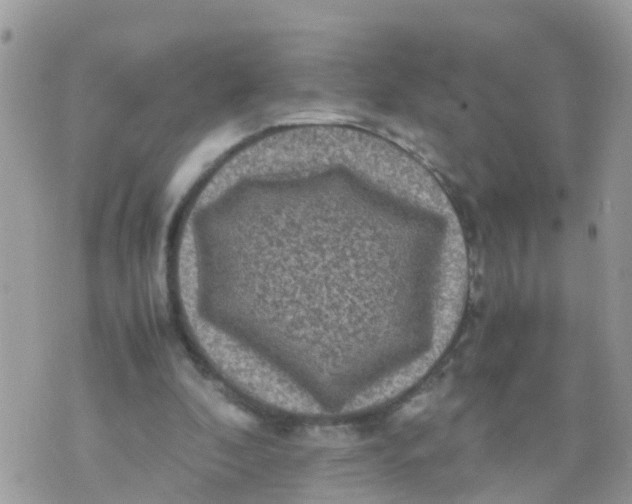 X0000070390296200606301953