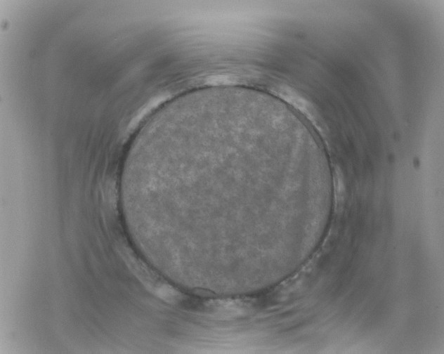 X0000070390297200606301953