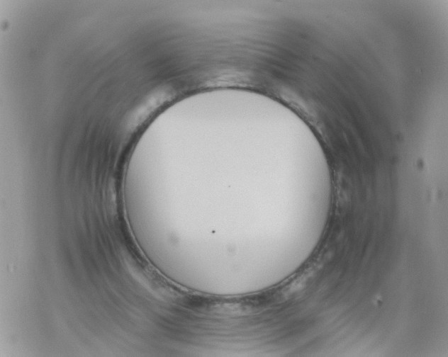 X0000070390298200606301953