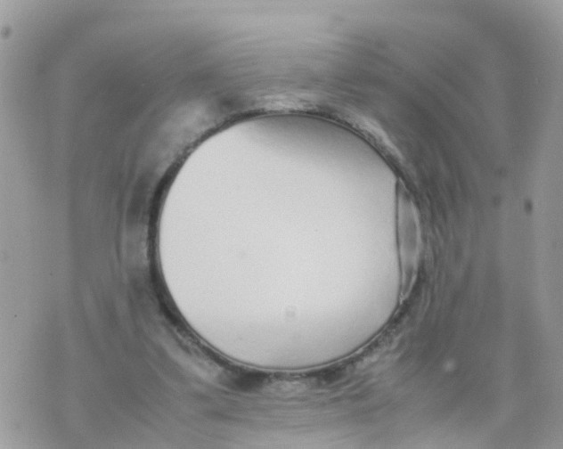 X0000070390299200606301953