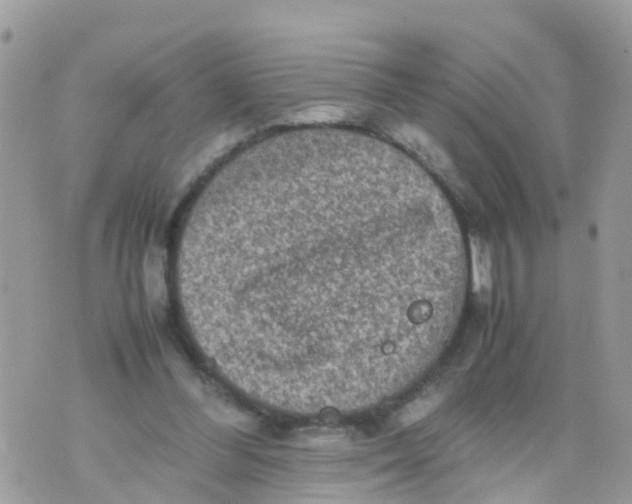 X0000070390300200606301953