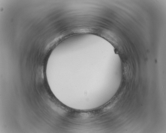 X0000070390302200606301953