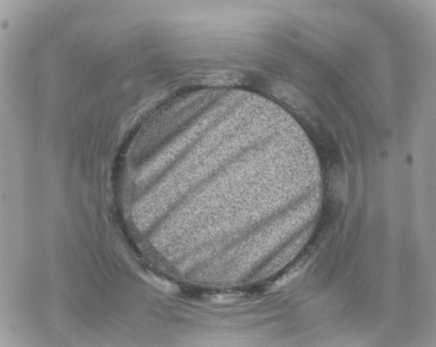 X0000070390303200606301953