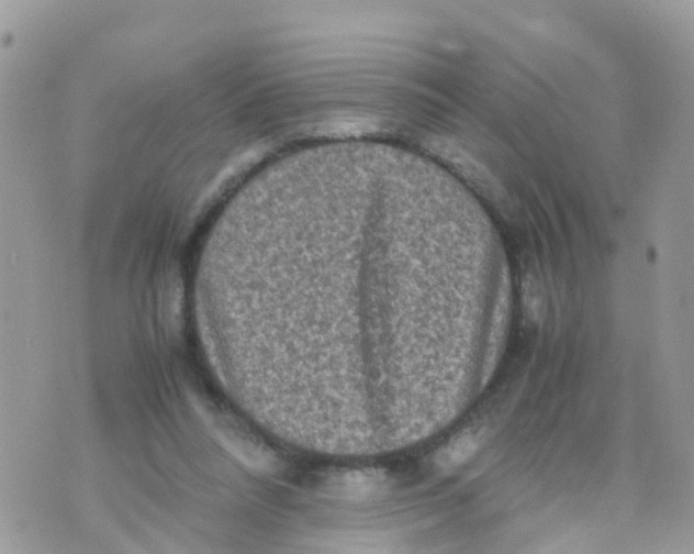 X0000070390304200606301953