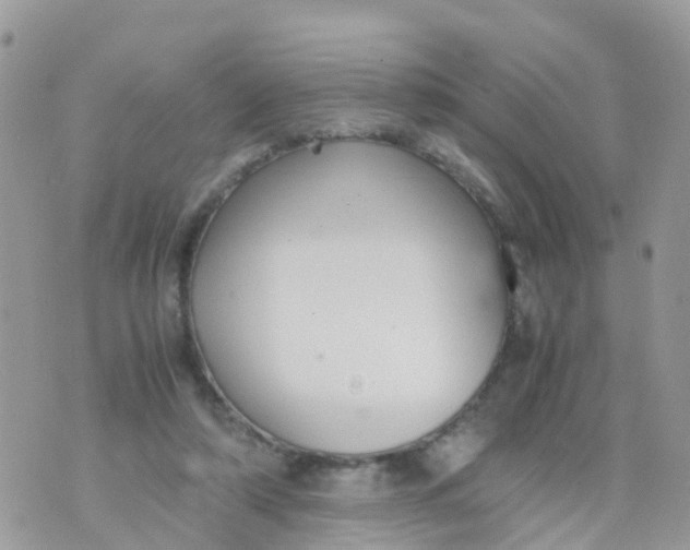 X0000070390306200606301953