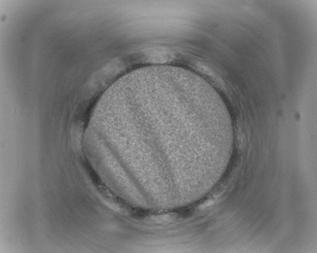 X0000070390307200606301953