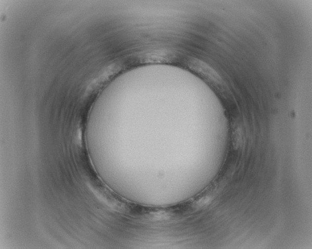 X0000070390310200606301953