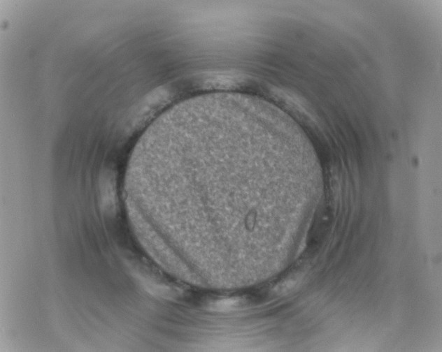 X0000070390312200606301953