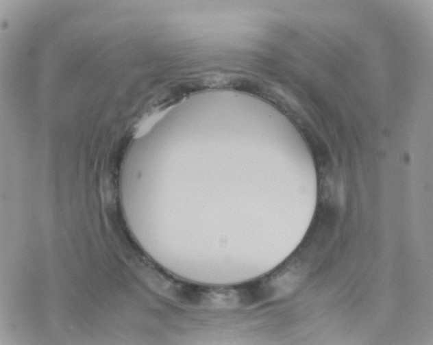 X0000070390317200606301953