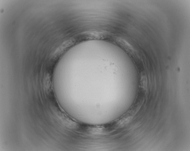 X0000070390318200606301953