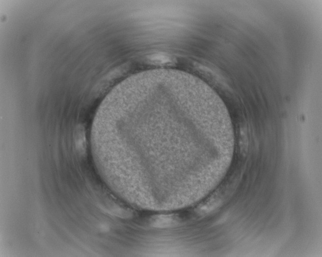 X0000070390320200606301953