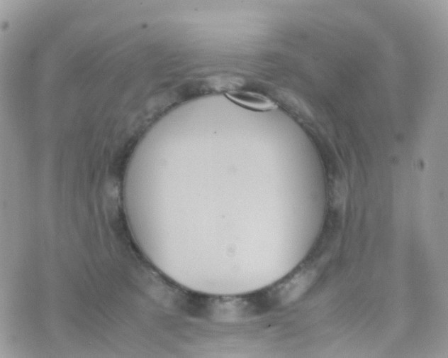 X0000070390321200606301953