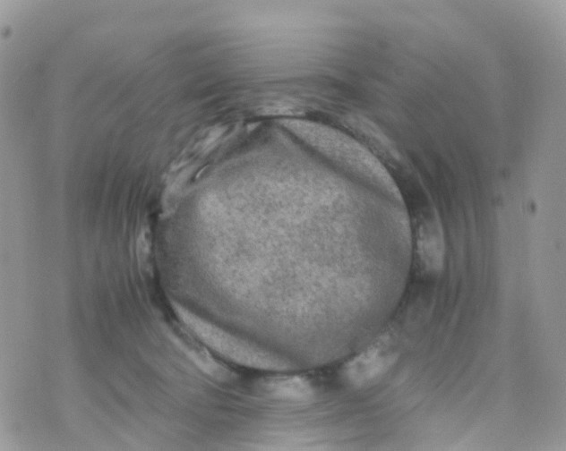 X0000070390322200606301953