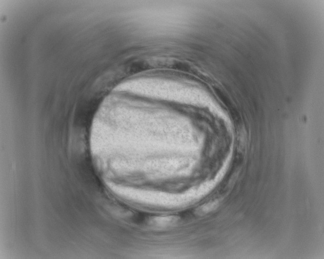 X0000070390323200606301953