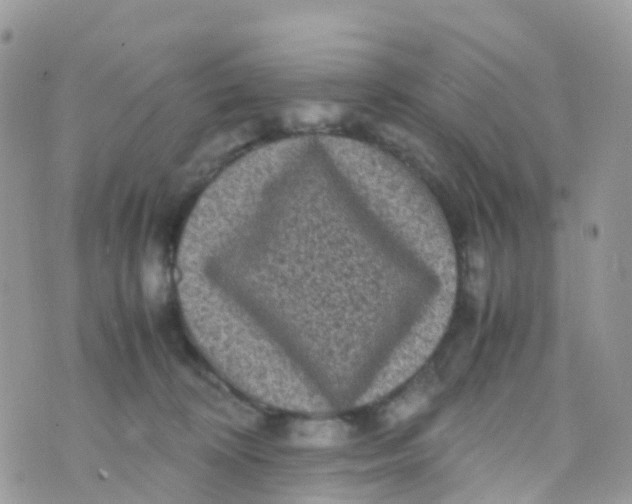 X0000070390324200606301952