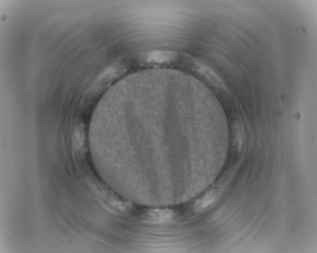 X0000070390328200606301952